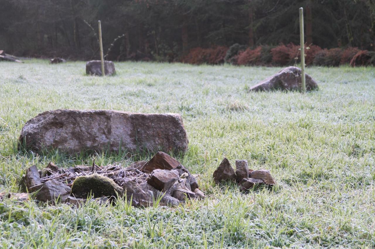 Gruenlasmuehle Brand Zewnętrze zdjęcie