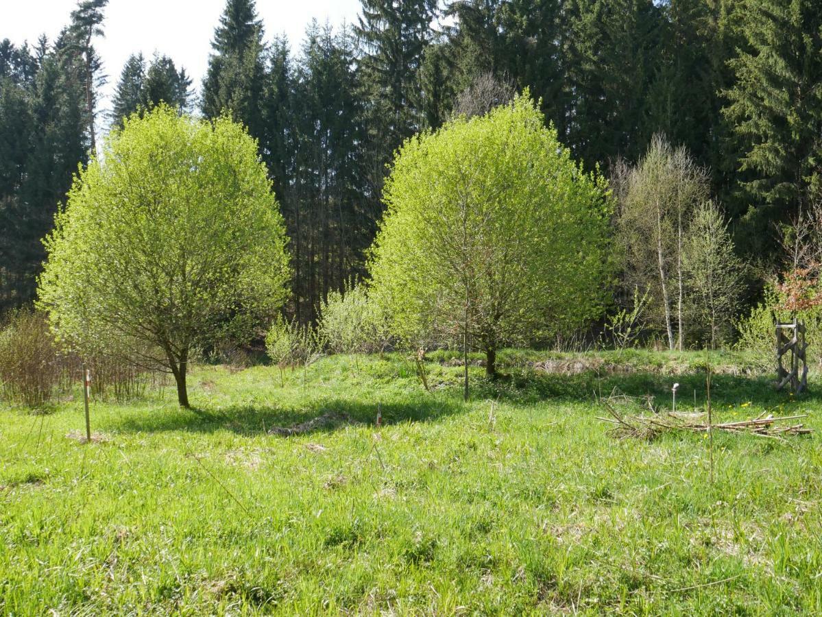 Gruenlasmuehle Brand Zewnętrze zdjęcie